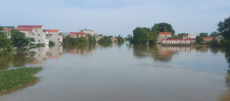 Nước sông Bùi, sông Tích lên cao, ngoại thành Hà Nội tập trung bảo vệ đê  (11/09/2024)